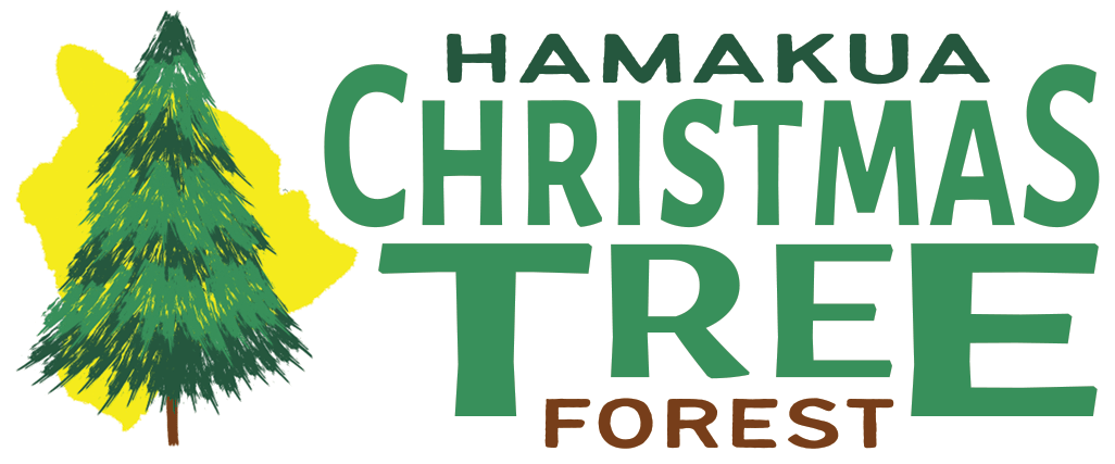 Hamakua Christmas Tree Forest